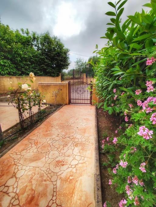 Villetta Di Anastasia 1 Tropea Filandari Ngoại thất bức ảnh